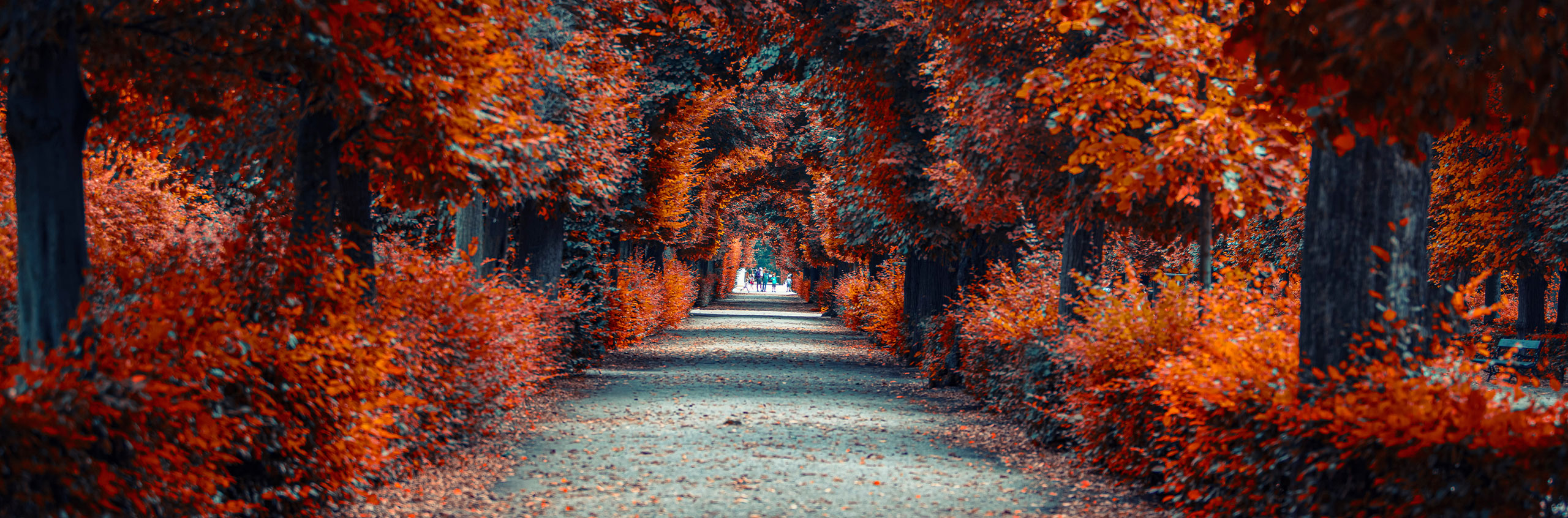 Le stagioni della stanchezza: l’autunno